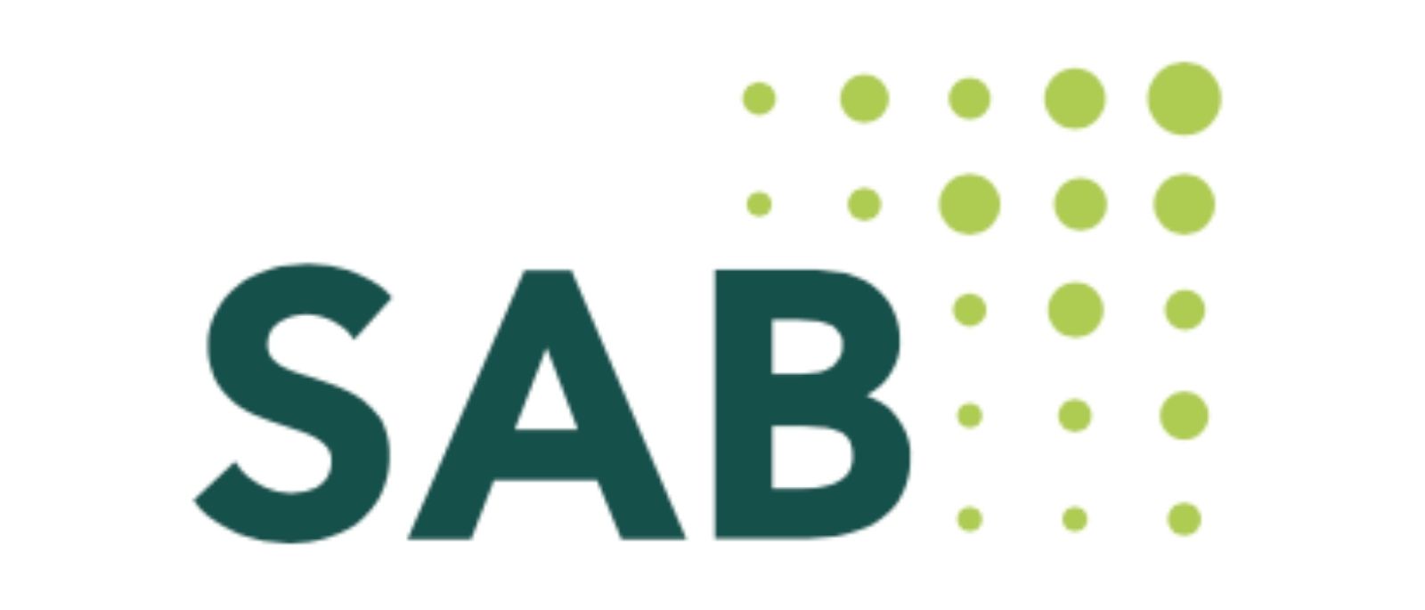 Logo der Sächsischen Aufbaubank (SAB) – Förderprogramm für berufliche Weiterbildung in Sachsen