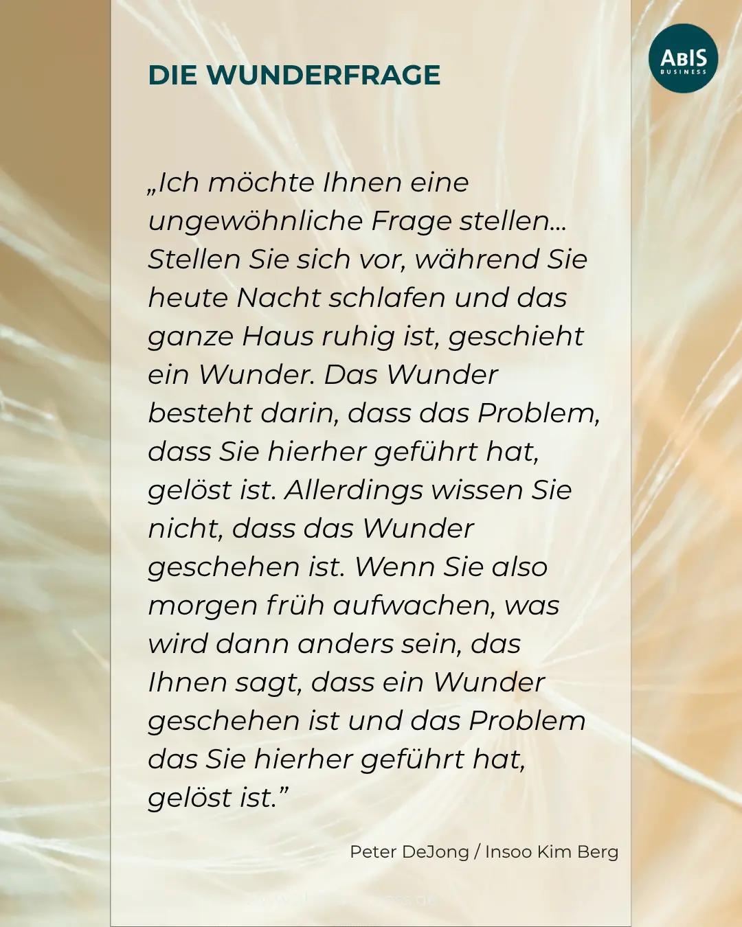 Visualisierung der „Wunderfrage“ von DeJong und Berg auf hellem Hintergrund mit Text.