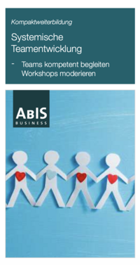 Bild Flyer Systemische Teamentwicklung ABIS Akademie